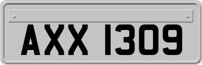AXX1309