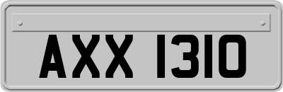 AXX1310