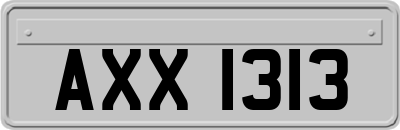 AXX1313