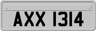 AXX1314