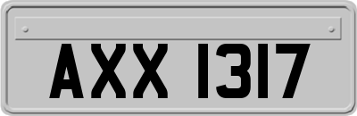 AXX1317
