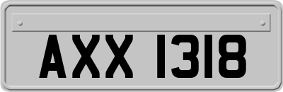 AXX1318