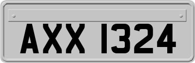 AXX1324