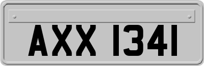 AXX1341