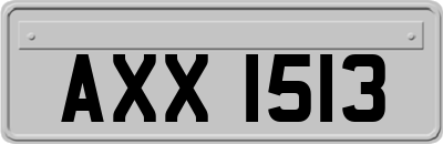 AXX1513