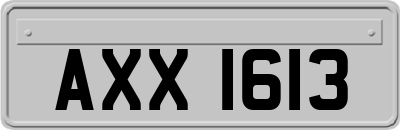 AXX1613