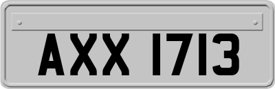 AXX1713