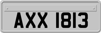 AXX1813