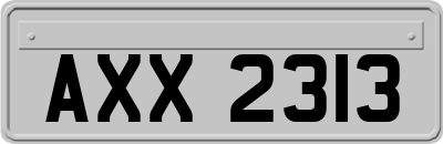 AXX2313