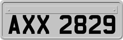 AXX2829