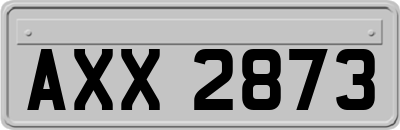 AXX2873