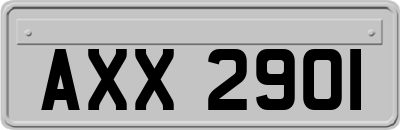 AXX2901