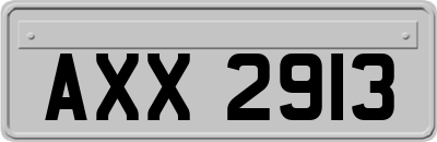 AXX2913