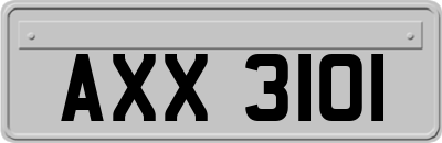 AXX3101