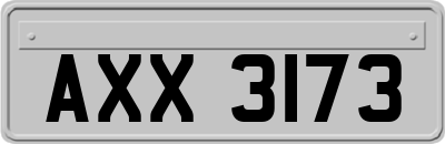 AXX3173