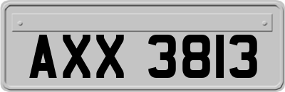 AXX3813