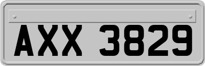AXX3829