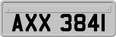AXX3841