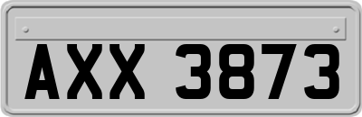 AXX3873