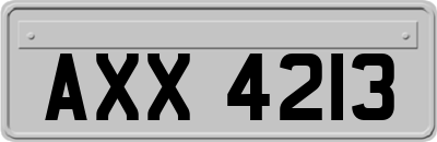 AXX4213