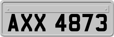 AXX4873