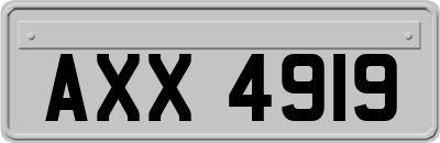 AXX4919