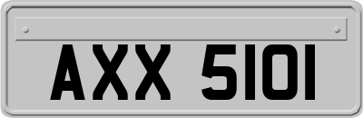 AXX5101