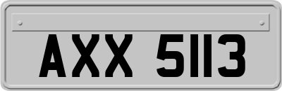 AXX5113