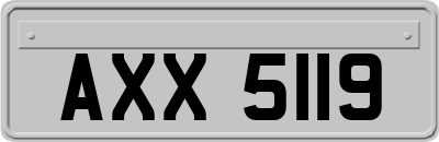 AXX5119