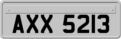 AXX5213
