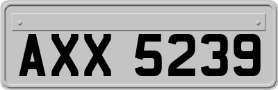 AXX5239