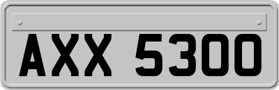 AXX5300