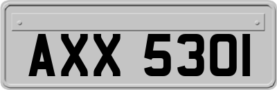 AXX5301