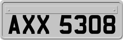 AXX5308