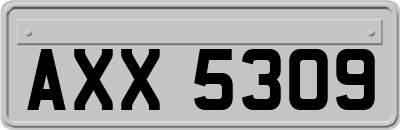 AXX5309