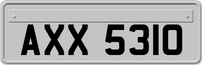 AXX5310