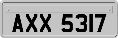 AXX5317