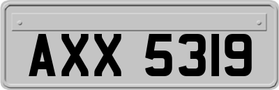 AXX5319