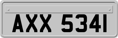 AXX5341