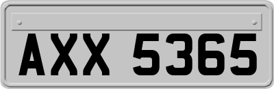 AXX5365