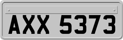 AXX5373