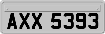AXX5393