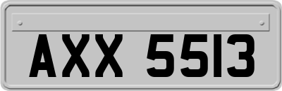 AXX5513