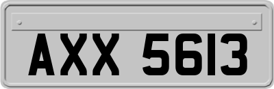 AXX5613