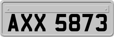 AXX5873