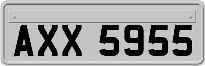 AXX5955