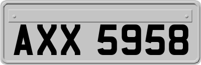 AXX5958