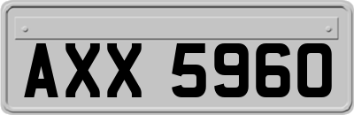 AXX5960