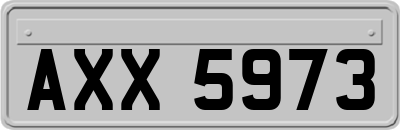 AXX5973