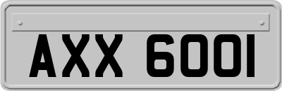 AXX6001